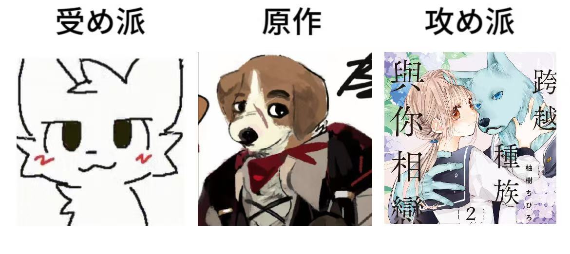 攻受 大白